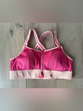 Shefit Ultimate High-Impact Sports Bra Size Luxe/Large